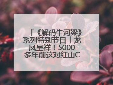 《解码牛河梁》系列特别节目丨龙凤呈祥！5000多年前这对红山CP竟这么好嗑