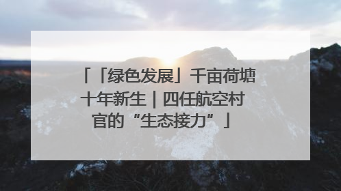 「绿色发展」千亩荷塘 十年新生｜四任航空村官的“生态接力”