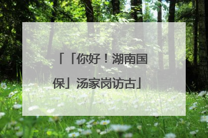 「你好！湖南国保」汤家岗访古