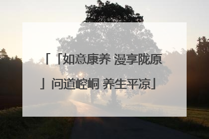 「如意康养 漫享陇原」问道崆峒 养生平凉