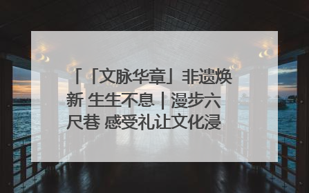 「文脉华章」非遗焕新 生生不息｜漫步六尺巷 感受礼让文化浸润的“巷”往生活