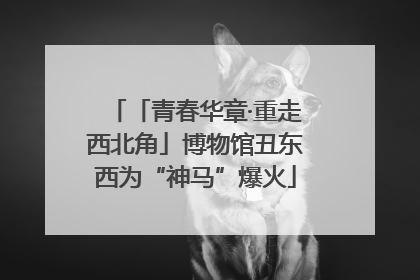 「青春华章·重走西北角」博物馆丑东西为“神马”爆火