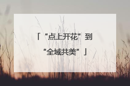 “点上开花”到“全域共美”