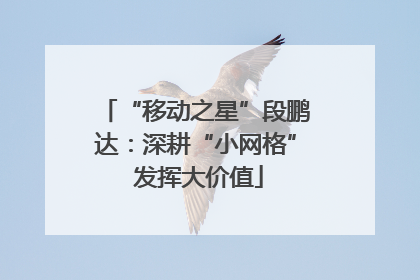 “移动之星”段鹏达：深耕“小网格” 发挥大价值