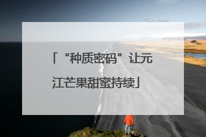 “种质密码”让元江芒果甜蜜持续