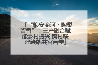 “粮安商河・陶梨留香”：三产融合赋能乡村振兴 跨村联建绘就共富画卷