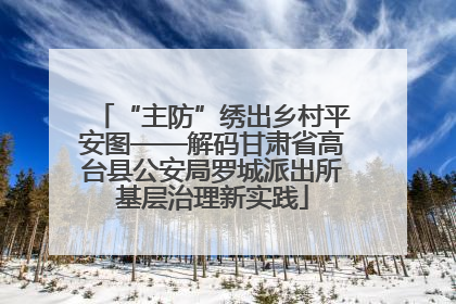 “主防”绣出乡村平安图——解码甘肃省高台县公安局罗城派出所基层治理新实践