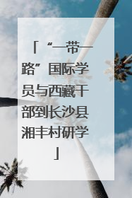 “一带一路”国际学员与西藏干部到长沙县湘丰村研学