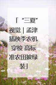 “三夏”视觉｜孟津插秧季农机穿梭 高标准农田披绿装
