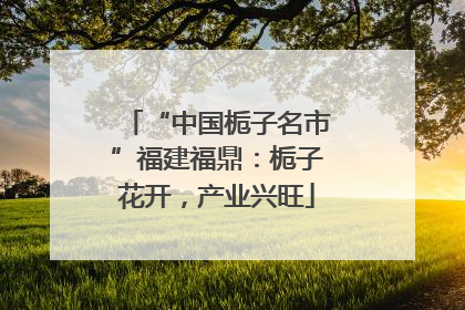“中国栀子名市”福建福鼎：栀子花开，产业兴旺