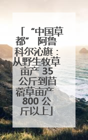 “中国草都” 阿鲁科尔沁旗：从野生牧草亩产 35 公斤到苜蓿草亩产 800 公斤以上
