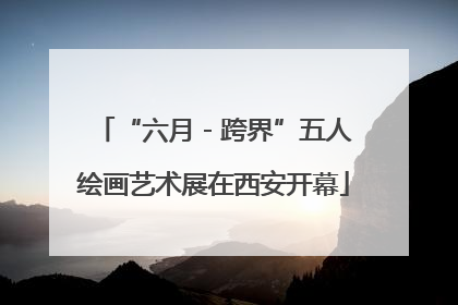 “六月 - 跨界”五人绘画艺术展在西安开幕