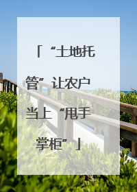 “土地托管”让农户当上“甩手掌柜”