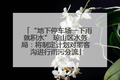 “地下停车场一下雨就积水” 琼山区水务局：将制定计划对墨客沟进行雨污分流