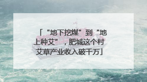“地下挖煤”到“地上种艾”，肥城这个村艾草产业收入破千万