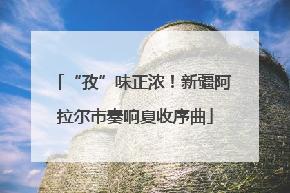 “孜”味正浓！新疆阿拉尔市奏响夏收序曲