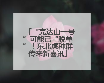 “完达山一号”可能已“脱单”！东北虎种群传来新喜讯
