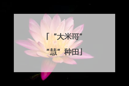 “大米哥”“慧”种田