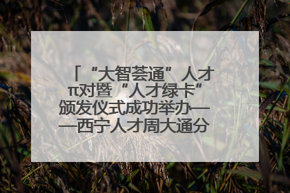 “大智荟通”人才π对暨“人才绿卡”颁发仪式成功举办——西宁人才周大通分会场亮点纷呈