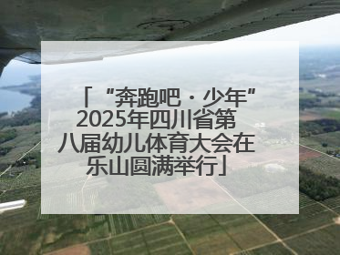 “奔跑吧・少年”2025年四川省第八届幼儿体育大会在乐山圆满举行