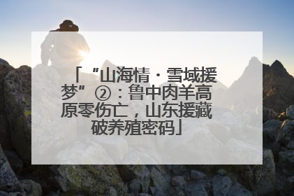 “山海情・雪域援梦”②：鲁中肉羊高原零伤亡，山东援藏破养殖密码