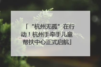 “杭州无孤”在行动！杭州手牵手儿童帮扶中心正式启航