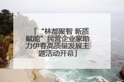 “林都聚智 新质赋能”民营企业家助力伊春高质量发展主题活动开幕