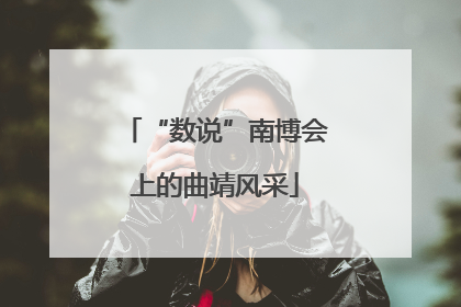 “数说”南博会上的曲靖风采
