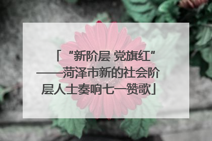 “新阶层 党旗红”——菏泽市新的社会阶层人士奏响七一赞歌