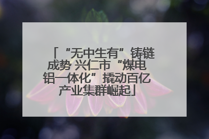 “无中生有”铸链成势 兴仁市“煤电铝一体化”撬动百亿产业集群崛起