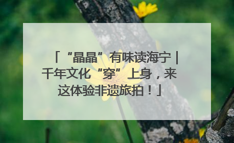 “晶晶”有味读海宁｜千年文化“穿”上身，来这体验非遗旅拍！