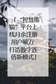 “智慧熊猫”平台上线月余注册用户破万 打造数字连侨新模式