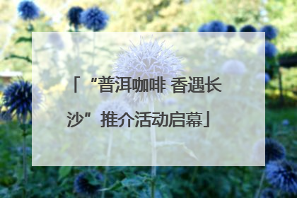 “普洱咖啡 香遇长沙”推介活动启幕