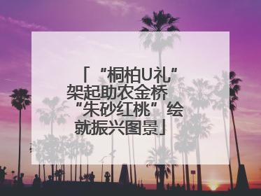 “桐柏U礼”架起助农金桥 “朱砂红桃”绘就振兴图景