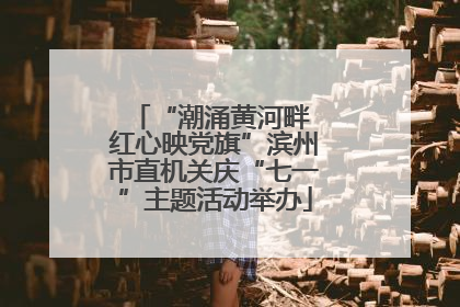 “潮涌黄河畔 红心映党旗”滨州市直机关庆“七一”主题活动举办