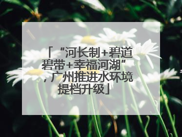 “河长制+碧道碧带+幸福河湖”，广州推进水环境提档升级
