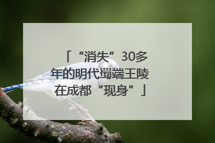 “消失”30多年的明代蜀端王陵在成都“现身”