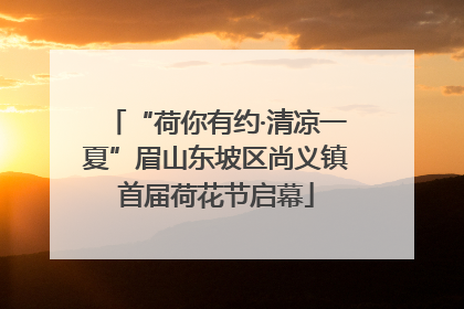 “荷你有约·清凉一夏”眉山东坡区尚义镇首届荷花节启幕