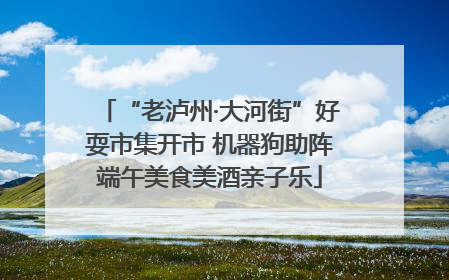 “老泸州·大河街”好耍市集开市 机器狗助阵端午美食美酒亲子乐