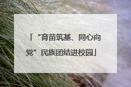 “育苗筑基、同心向党”民族团结进校园