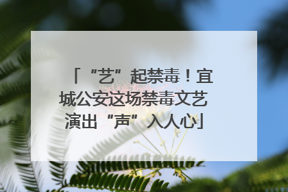 “艺”起禁毒！宜城公安这场禁毒文艺演出“声”入人心