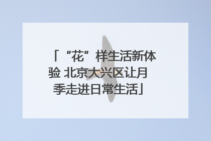 “花”样生活新体验 北京大兴区让月季走进日常生活