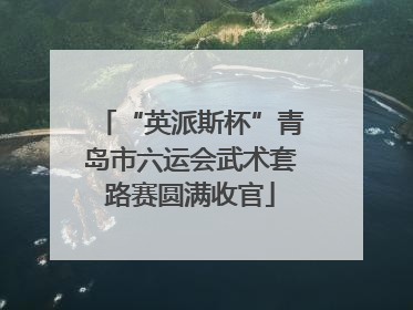 “英派斯杯”青岛市六运会武术套路赛圆满收官