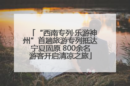 “西南专列·乐游神州”首趟旅游专列抵达宁夏固原 800余名游客开启清凉之旅