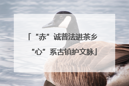 “赤”诚普法进茶乡 “心”系古镇护文脉