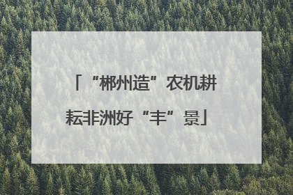 “郴州造”农机耕耘非洲好“丰”景