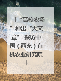 “高校农场”种出“大文章” 探访中国（西充）有机农业研究院