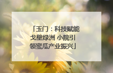 玉门：科技赋能戈壁绿洲 小院引领蜜瓜产业振兴