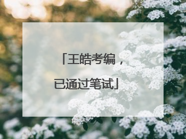王皓考编，已通过笔试