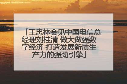 王忠林会见中国电信总经理刘桂清 做大做强数字经济 打造发展新质生产力的强劲引擎